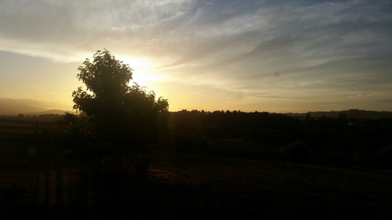 4th December 2016 at&nbsp;3:17pm