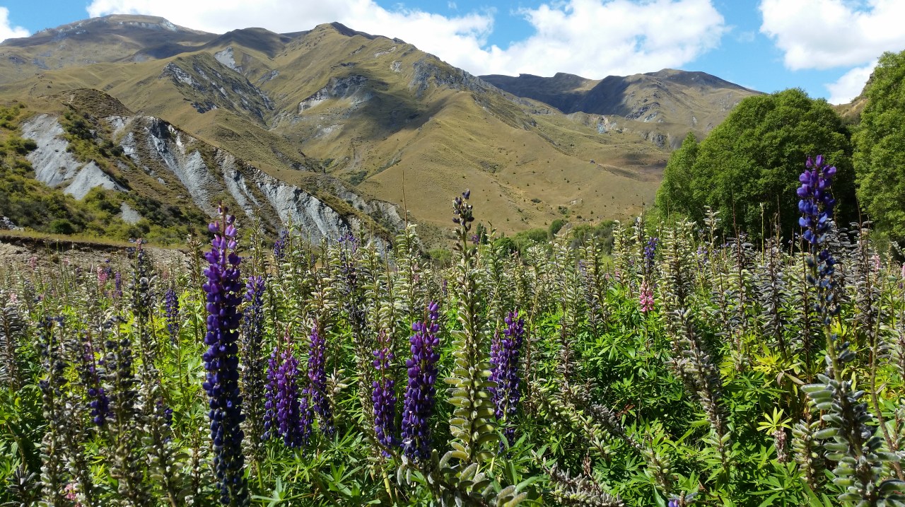 Day 17: Queenstown to&nbsp;Macetown