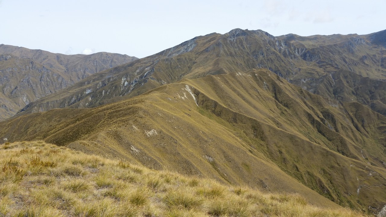 Day 18: Macetown to Roses&nbsp;Hut