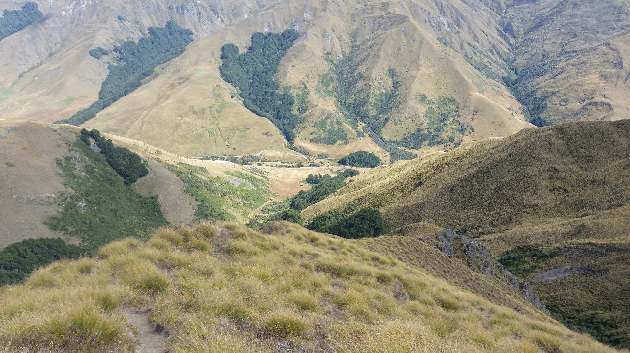 Day 19: Roses Hut to Highland Creek&nbsp;Hut