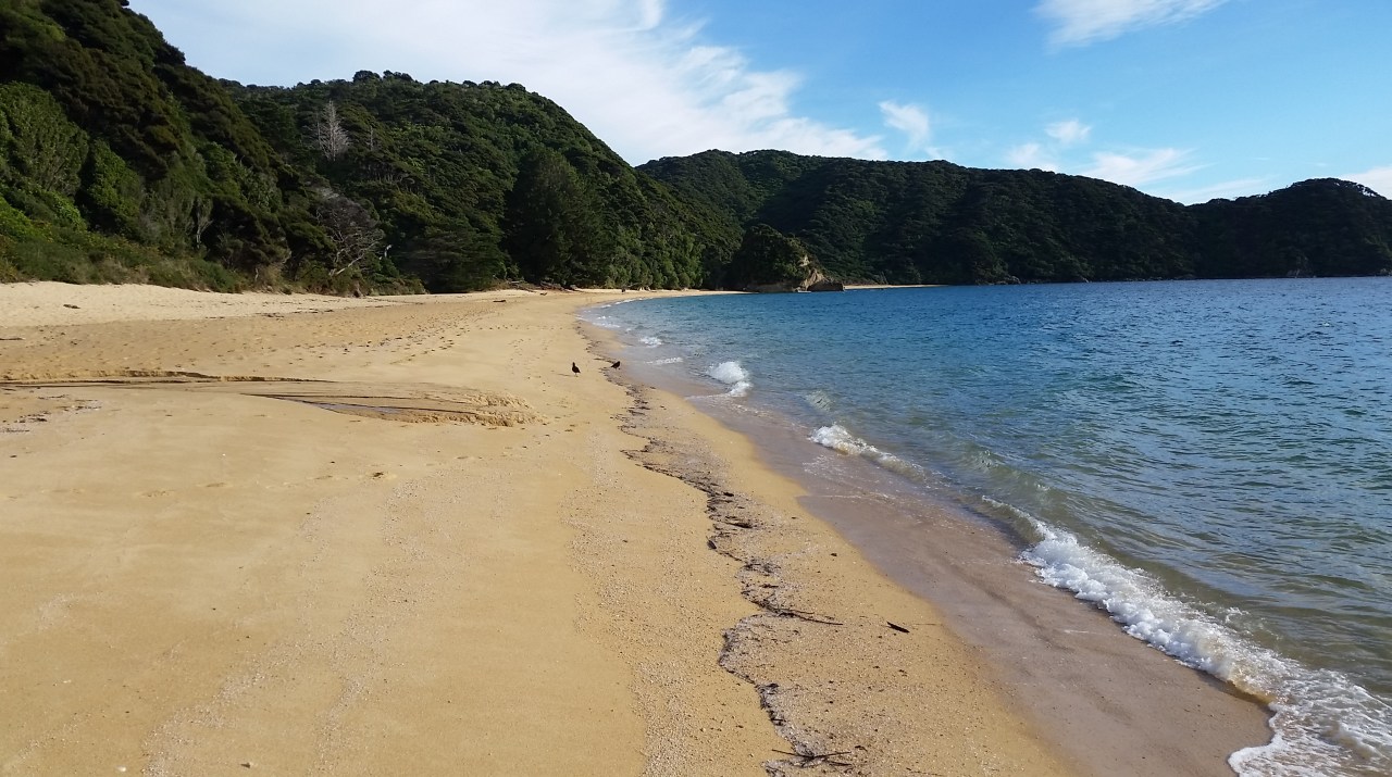 Day 66: Whariwharangi to&nbsp;Awaroa