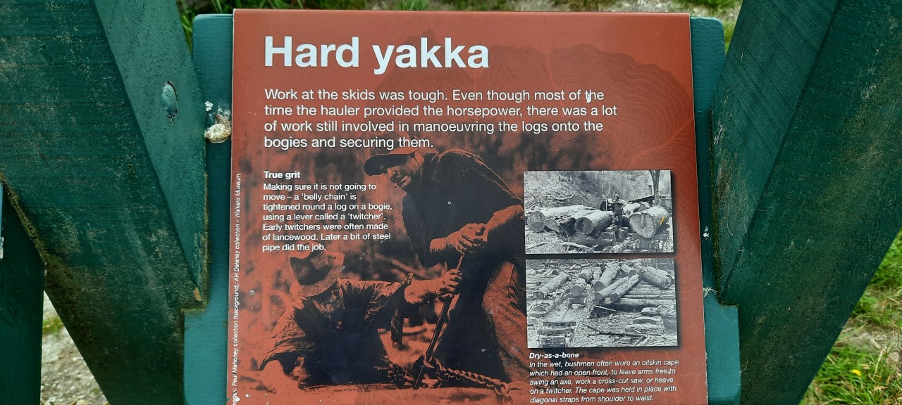 Timber Trail – Piropiro to&nbsp;Ongarue