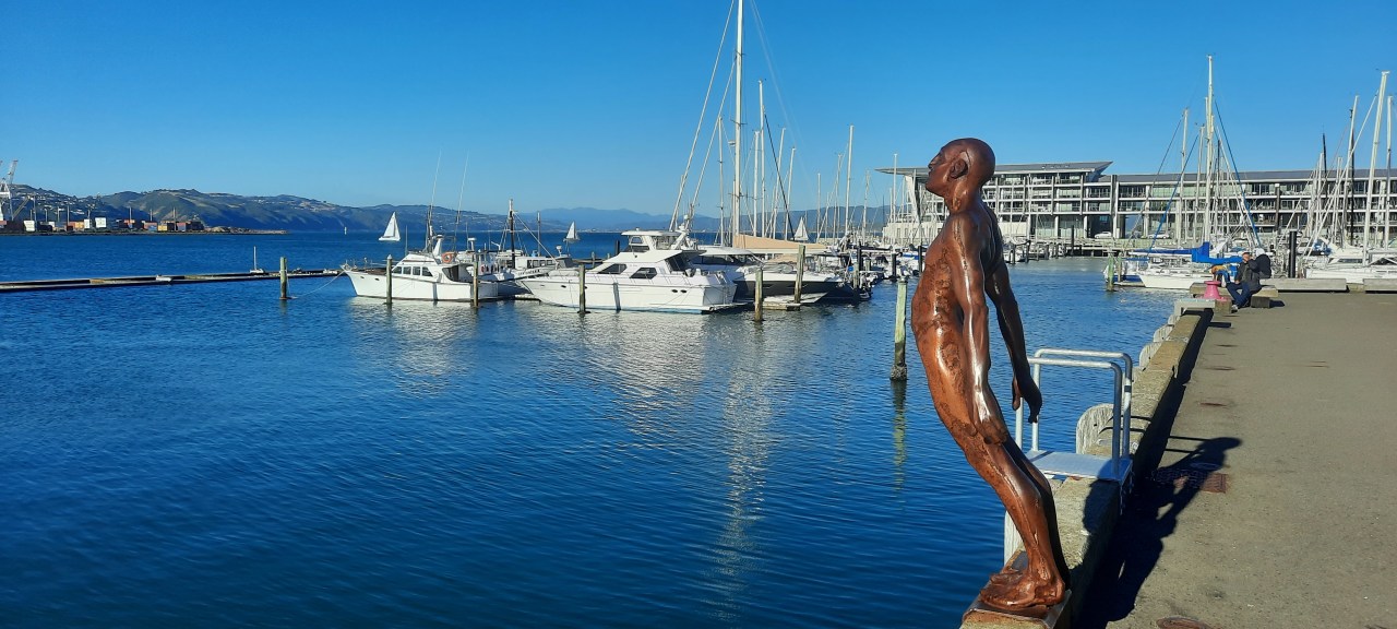 Recommencing in Wellington